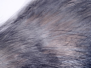 line pencil on white paper abstract background and texture.