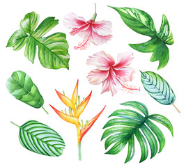 Watercolor illustrations of tropical leaves and flowers
