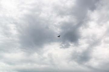 Flying
