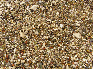 Small sea pebbles. Horizontal Photo of Sea Pebbles
