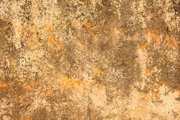 gray white yellow old battered concrete wall with orange spots, deep scratches and stains of moss and mold. rough surface texture