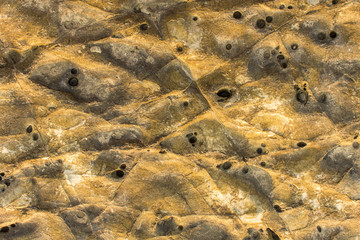 gray yellow rock with white spots, scratches and black holes. natural rough surface texture