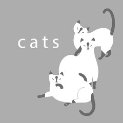 Cats. Isolated vector silhouettes of pets in different positions.