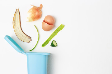 organic waste and dumpster on a white background, the concept of garbage sorting