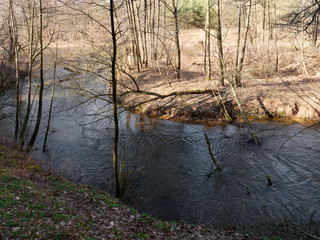 the beginning of spring. wild fast river among the thickets