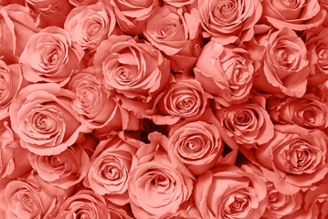 Flower bouquet from roses.