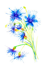 Obraz premium Watercolor illustration with beautiful abstract blue flower. Isolated on white background