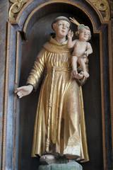 Saint Anthony of Padua, statue on the altar of Saint Anthony of Padua in Church of Birth of Virgin Mary in Svetice, Croatia 