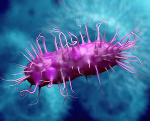 Salmonella bacteria , Germ infection , Epidemic bacterial disease -  3D Ilustración