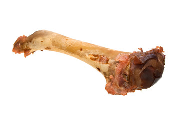 bone isolated on white background