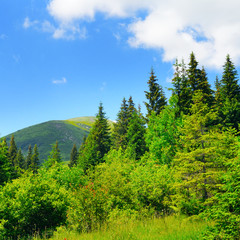 Scenic mountains, meadows and blue sky.