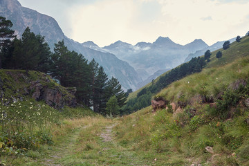 scenic alpine summer landscape. natural mountain background