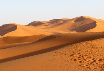 Fototapeta na wymiar Spectacular views in Sahara Desert. Sun colours its Beautiful Sand Dunes and creates astonishing shadows effects. Camel trekking and night in tents is a must