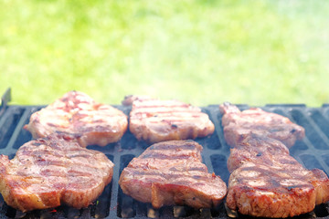 grilled meat on a background of green grass on a sunny summer day outside
