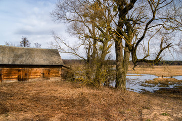 Architektura drewniana Podlasia. Dolina Górnej Narwi. Wiosna na Podlasiu © podlaski49