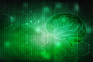 Human brain 2d illustration