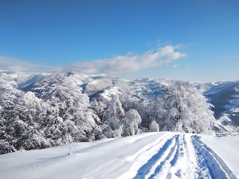 Paisaje de invierno con monta&ntilde;as y nieve en Rumania, pueblo de Parva, Transilvania