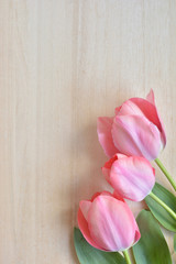 Tulip flowers on a wood background 