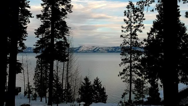 Drone Flying Through Trees Over Looking Lake At Sunrise, Arial Shot Of Trees On Shore Of Lake