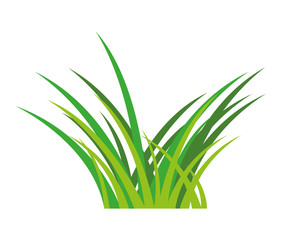 garden herb grass icon