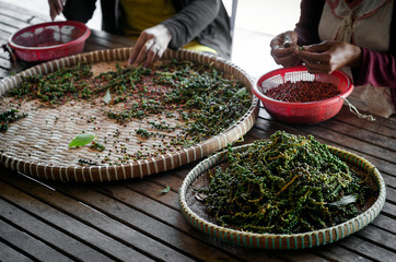 farm workers sorting fresh pepper peppercorns in kampot cambodia