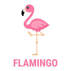 cartoon flamingo vector with text