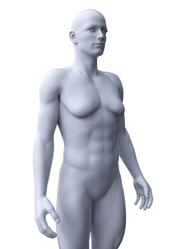3d rendered medically accurate illustration of a male with gynecomastia