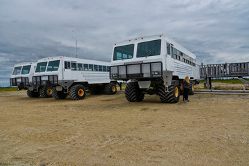 tundra buggy waiting for tourists to watch polar bears in churchill, manitoba