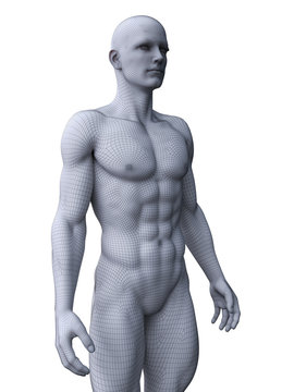 3d rendered medically accurate illustration of a ripped male model