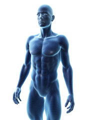3d rendered medically accurate illustration of a ripped male model
