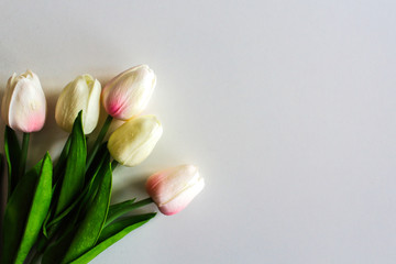 bouquet of tulips on white background