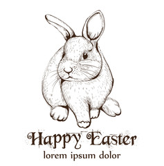 Easter Bunny rabbit Vector lineart. Cute spring card. Easter holiday greetings