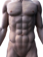 Fototapeta na wymiar 3d rendered medically accurate illustration of sixpack abs