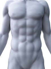 3d rendered medically accurate illustration of sixpack abs