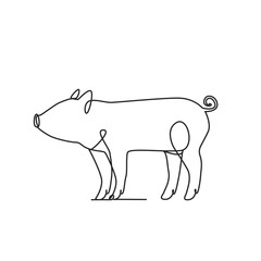 Drawing a continuous line. Pig on white isolated background