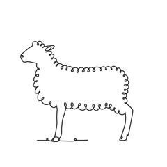 Drawing a continuous line. Sheep on white isolated background