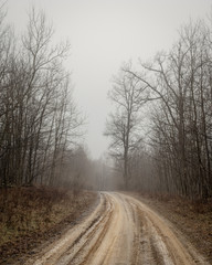 Obraz na płótnie Canvas Dirt Road in the Foggy Morning