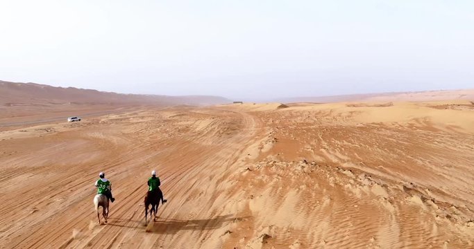 horse Horse racing in the desert. Endurance Equestrian Race.