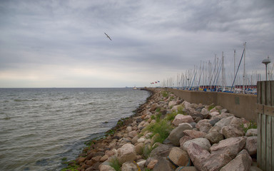 Breakwater in the sea