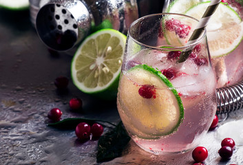 Lemonade with lime, cranberries, sugar syrup and ice, soft drink, steel background, bar tools,...