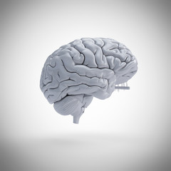 3d rendered medically accurate illustration of a human brain