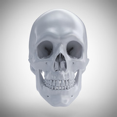 3d rendered medically accurate illustration of a human skull