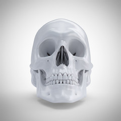 3d rendered medically accurate illustration of a human skull