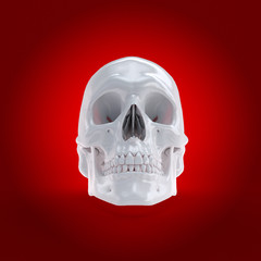 3d rendered medically accurate illustration of a human skull