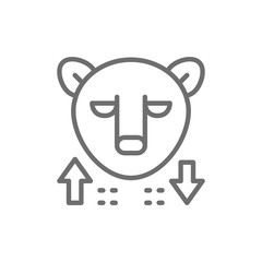 Bear, stock market, finance trade line icon.
