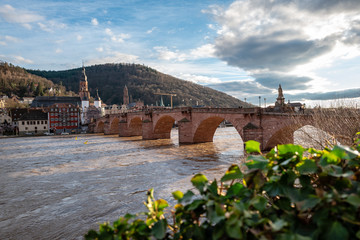 view of the bridge in heidelberg
