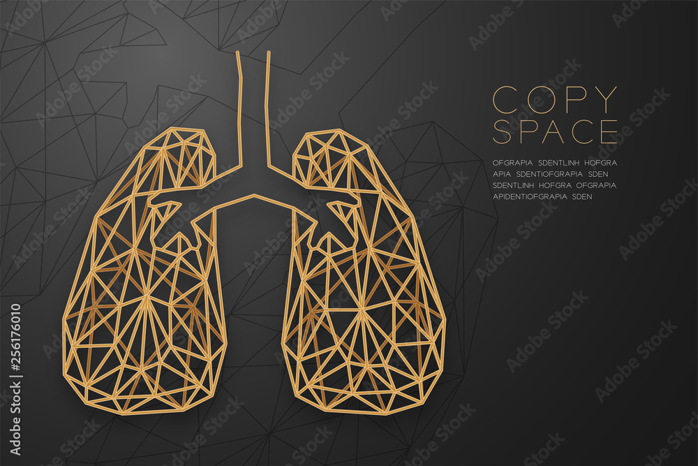 Poster lung shape wireframe polygon golden frame structure, medical science organ concept design illustrati