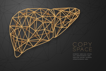 Liver shape wireframe polygon golden frame structure, Medical Science Organ concept design illustration isolated on black gradient background with copy space, vector eps 10
