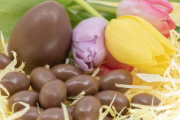 Couleur du printemps et de Pâques avec des oeufs en chocolat et des tulipes