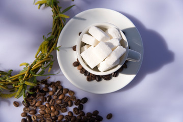 Coffee cups and herbs decoration